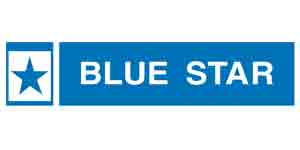 logo-bluestar